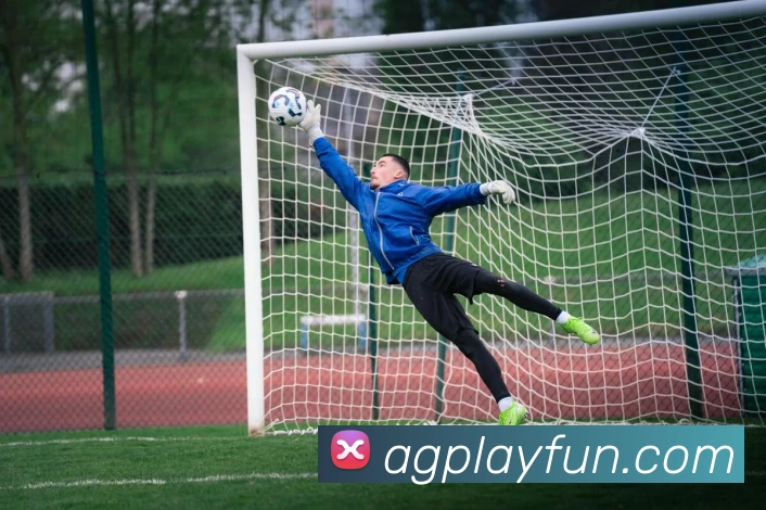 App Interface Preview