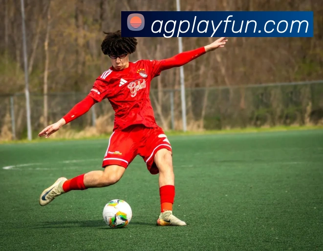 九游会官网APP 封面图